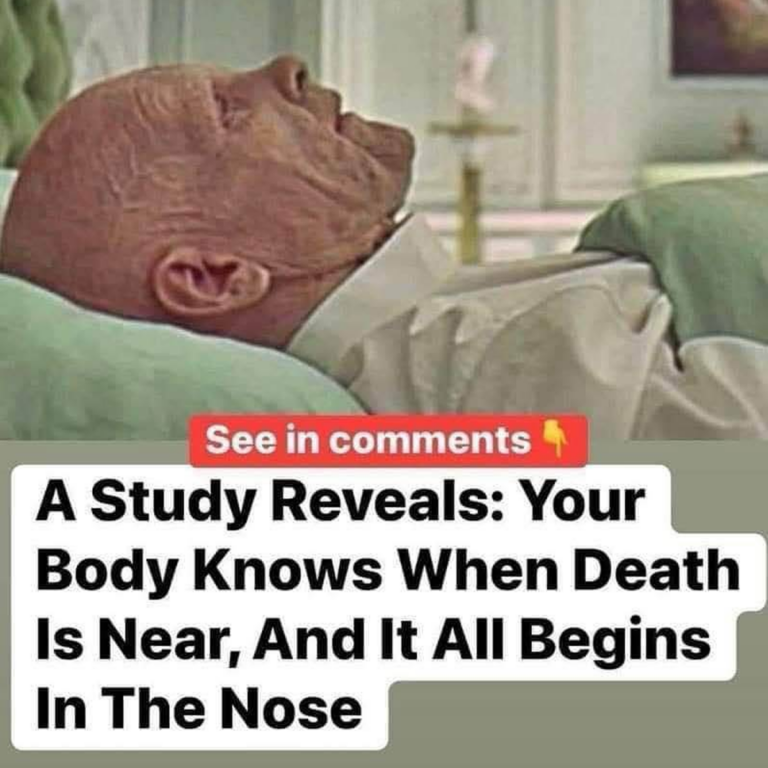 A research reveals your body knows when death is near, and it all starts in the nose