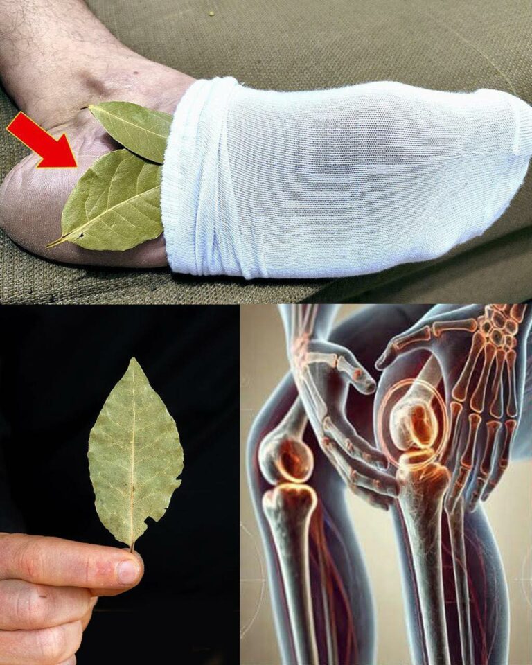 Put 1 bay leaf on your feet and no longer need to spend money at the pharmacy