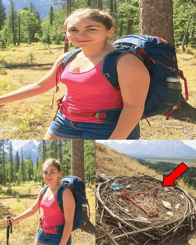 Young Hiker Vanished on Grand Teton, 11 Months Later Ranger Finds This Inside Eagle’s Nest…