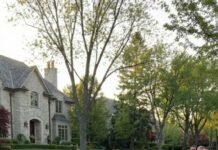 I was seven months pregnant when my mother-in-law screamed, “Get off my property!” while my husband stood beside his mistress, silent. My suitcases hit the pavement as the neighbors watched. I thought that was rock bottom—until two white Rolls-Royces stopped in front of the house. My brother stepped out and said one sentence that changed everything: “This house no longer belongs to you.” What happened next destroyed them all.