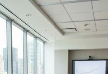 I froze as the elevator doors opened. Carl’s smirk was sharper than ever. “Judith, eight minutes late. Care to explain?” he hissed. I swallowed, but my eyes were already on him—the man I’d fed lunch to ten minutes ago, now sitting at the head of the boardroom, crisp suit, calm as winter. Thomas Hail. The new CEO. Carl didn’t see it coming. I did. And I wondered, silently, how long it would take before the storm hit.