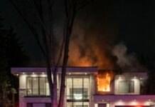 Three hours ago, the world still thought I was dead. Tonight, I’m across the street from my mother’s mansion, watching flames bloom behind her office windows while FBI radios scream. My phone won’t stop vibrating. Then my mother’s text pops up: “Who is this?” I type back, “It’s Emily. I’m alive.” A second later: “What do you want?” I whisper, “The truth.” And that’s when the front door opens…