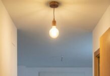 En el picnic familiar, lo oí susurrar: “Ya transferí todos los bienes a tu nombre… y los papeles del divorcio están listos”. Se me heló la sangre, pero sonreí por dentro. Esa noche, al abrir la puerta, él gritó: “¿Dónde está todo?”. La casa estaba vacía… y dos hombres de negro lo esperaban. Me miró, pálido. Yo solo dije: “Ahora, hablemos de lealtad”. ¿Crees que esto terminó aquí?