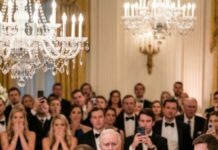 I Raised My Daughter Alone, and at Her Wedding Her Wealthy Father-in-Law Tried to Humiliate Me in Front of 300 Guests — Until I Calmly Stood Up and Asked, “Do You Even Know Who I Am?” and Watched the Ballroom Go Silent Under the Crystal Chandelier Lights