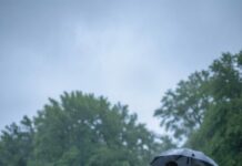 He Served Divorce Papers at Her Mother’s Grave—Not Knowing His Pregnant Wife Was About to Inherit $900 Million and Turn His Cruel “Goodbye” Into the Biggest Regret of His Life