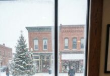 At brunch, my daughter-in-law looked straight at me and said, “We’ve decided not to invite you for Christmas this year.” I didn’t argue. I didn’t cry. I simply nodded, finished my coffee, and left the table where my own son couldn’t even meet my eyes. For forty years I gave them everything—money, holidays, love—and that morning I realized something shocking: they didn’t forget me… they just stopped needing me. But what happened after I walked away from that café would change all of our lives forever.