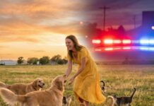“I found it in the ditch,” I whispered, pulling a trembling kitten into my coat. “Now you’re safe.” My farm had taken in more than 100 animals—abandoned dogs and cats. Then the town’s Animal Protection Society burst through my gate. “This farm is a danger,” their leader barked. “We’re taking them—all of them.” My throat tightened. “You can’t. They’re our family.” He smiled as if everything had already been decided. As the crates slammed shut and claws scraped against metal, I noticed a tag on one carrier—my farm’s name… stamped before they arrived. So tell me: who planned this?