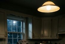 For the past twenty years, I’ve raised my daughter with trembling hands, loving her with all I had – while still hating the night her mother died giving birth to her. But tonight, an old letter has burned that hatred to ashes. “Is my wife really gone?”…and what secret is hidden?