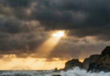 I told myself I’d only follow her for a moment… just to catch a glimpse of the girl I secretly loved. The beach was deserted, the wind lashing against the waves. Then she slipped. A scream – and the sea swallowed her. “Don’t be foolish!” she yelled as I leaped to save her. When we finally collapsed on the shore of a desolate island, trembling and gasping for breath, she stared at me. “Why did you risk your life for me?” I opened my mouth… but the truth was more dangerous than the ocean.