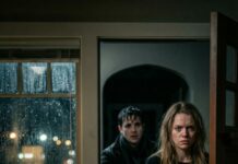 She loved him with all her sincerity, unaware that he had approached her only to investigate his brother’s death. When she discovered the truth, she left without a word of goodbye. But the case file is still missing one witness…