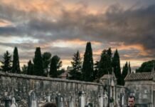 En medio de la fiesta, mi hijo me susurró: “Mamá, te ves muy pobre para salir en las fotos… quédate afuera”. Acto seguido llamó a su suegra: “Venga, póngase a mi lado”. Se me heló el pecho, pero levanté la copa, sonreí y bebí un sorbo de champán. “Calma”, dije. Nadie notó el sobre en mi bolso… y tampoco lo que estaba por destaparse.