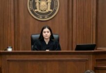 I never told my parents I was a federal judge. To them, I was still the “dropout failure,” while my sister was the golden child. Then she took my car and committed a hit-and-run. My mother grabbed my shoulders, screaming, “You have no future anyway! Say you were driving!” I stayed calm and asked my sister quietly, “Did you cause the accident and flee?” She snapped back, “Yes, I did. Who would believe you? You look like a criminal.” That was enough. I pulled out my phone. “Open the court,” I said. “I have the evidence.”