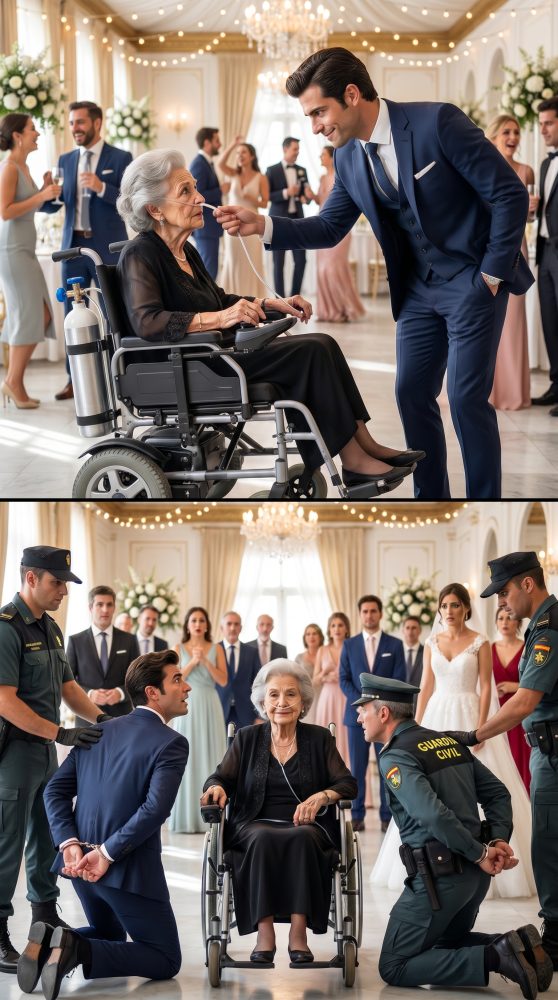 Ultra-realistic_cinematic_split-screen_composition,_vertical_202606071431