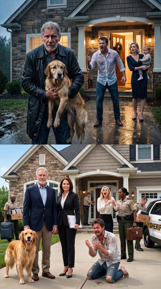 Father_and_dog_revenge_scene_202607260006